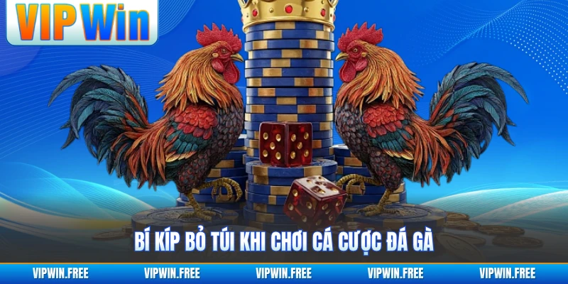Bí kíp bỏ túi khi chơi cá cược đá gà