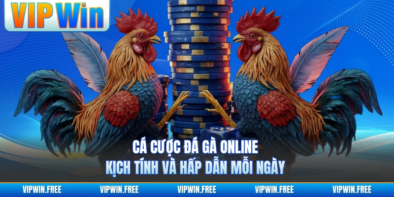 Cá Cược Đá Gà Online - Kịch Tính Và Hấp Dẫn Mỗi Ngày