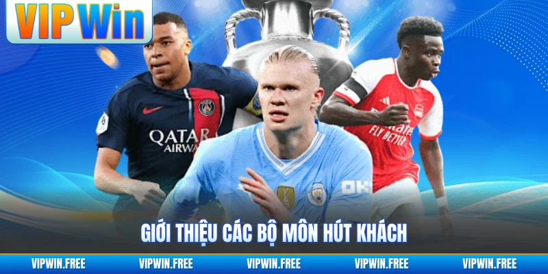 Giới thiệu các bộ môn hút khách