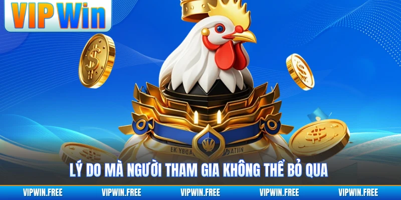 Lý do mà người tham gia không thể bỏ qua