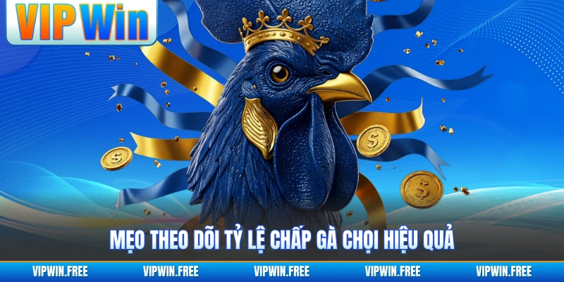 Mẹo theo dõi tỷ lệ chấp gà chọi hiệu quả