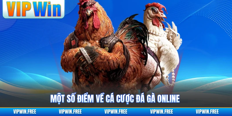 Một số điểm về cá cược đá gà online