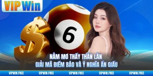 Nằm Mơ Thấy Thằn Lằn – Giải Mã Điềm Báo Và Ý Nghĩa Ẩn Giấu