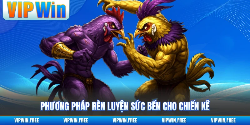 Phương pháp rèn luyện sức bền cho chiến kê