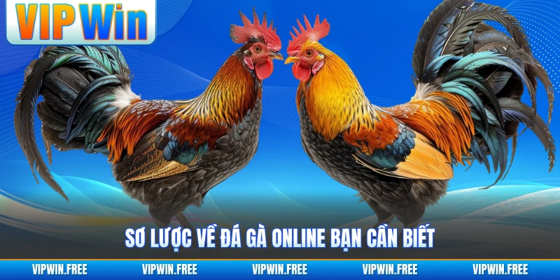 Sơ lược về đá gà online bạn cần biết