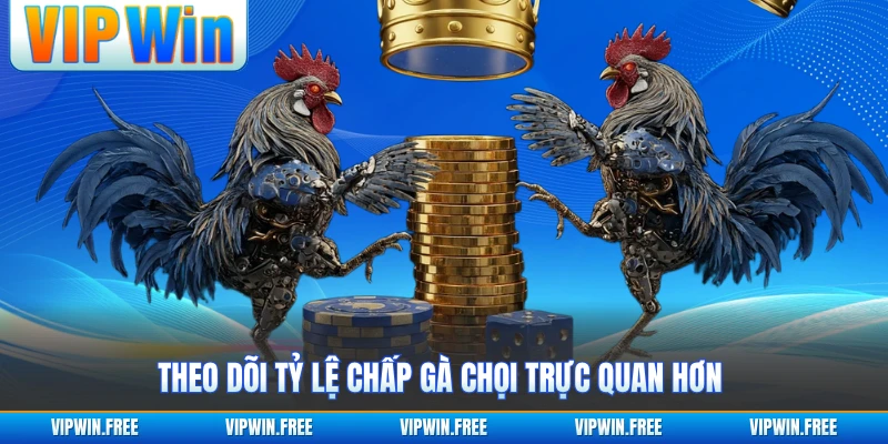 Theo dõi tỷ lệ chấp gà chọi trực quan hơn
