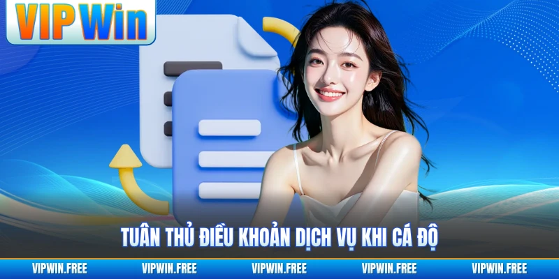 Tuân thủ điều khoản dịch vụ khi cá độ